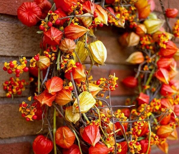 beautidul-uaturm-wreath-physalis-berries-dry-branches