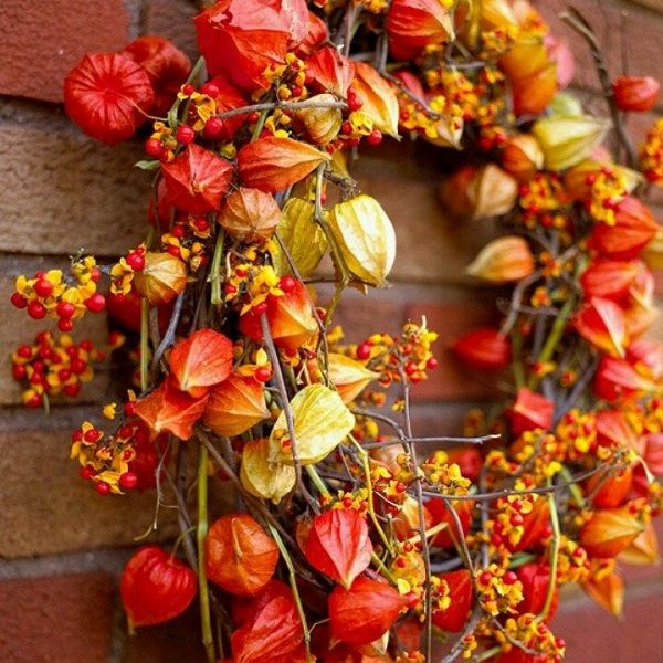 beautidul atumn wreath physalis berries dry branches