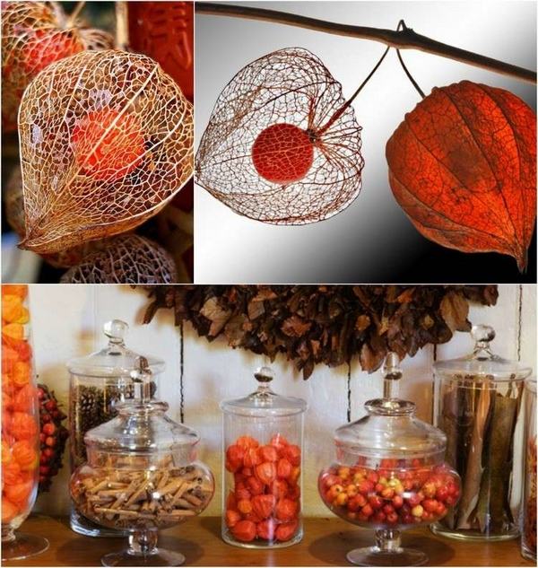 fall creative autumn decoration 