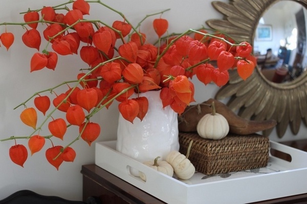 fall decorating ideas with physalis fresh bouquet white mini pumpkins