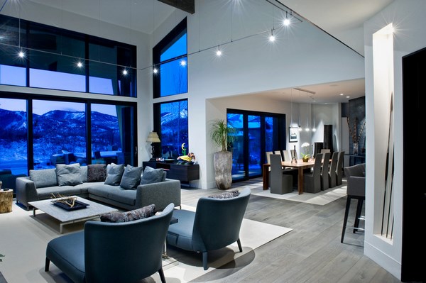 contemporary-living-room-grey-hardwood-floor-ideas-gray-sofa
