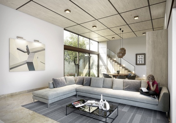 contemporary-living-room-modern-corner-sofa-decorative-pillows-coffee-table-gray-carpet