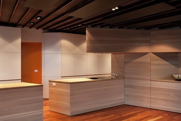 minimalist kitchen design recycled wood cabinets Hollway House