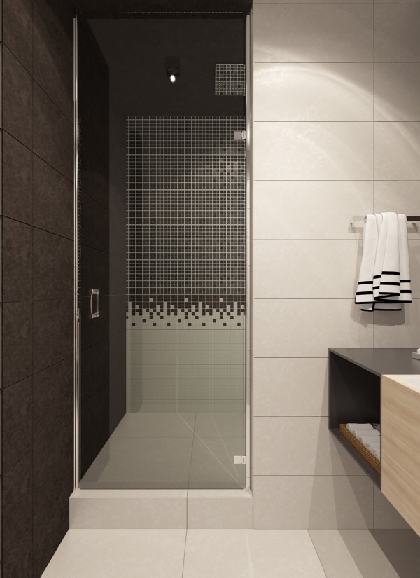 Contemporary bathroom design walk in shower glass door