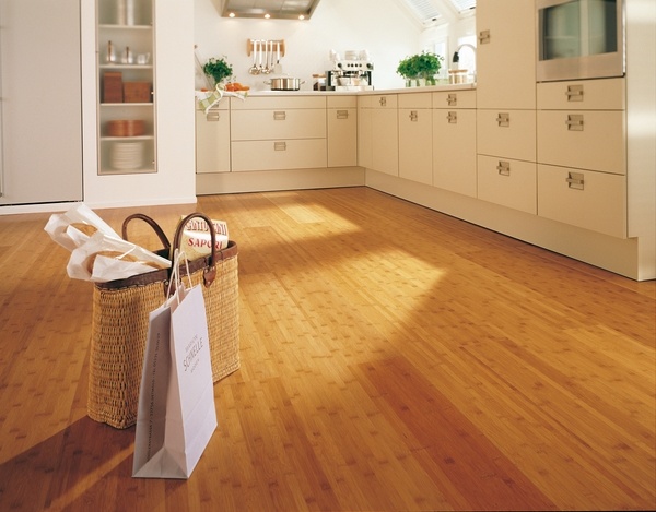 bamboo wood flooring modern 