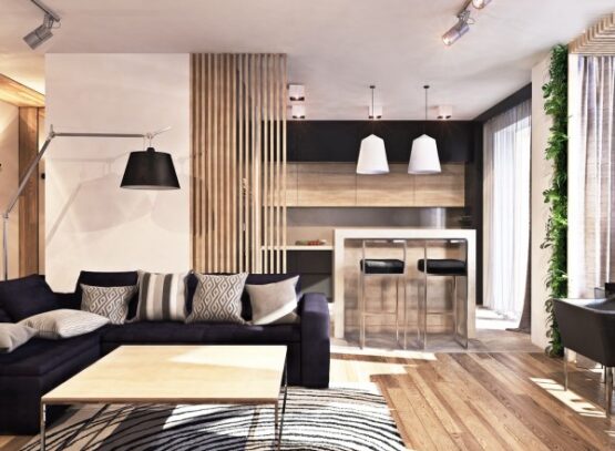 modern-living-room-design-open-space-plan-living-room-kitchen-transition