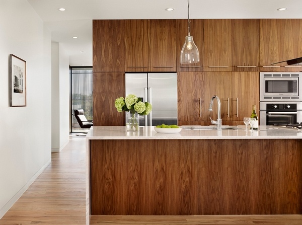 modern walnut elegant kitchen