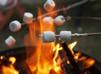 party-menu-bonfire-ideas-how-to-organize-bonfire-party-marshmallows