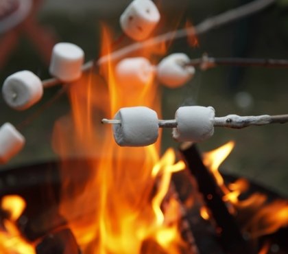 party-menu-bonfire-ideas-how-to-organize-bonfire-party-marshmallows