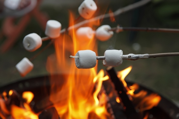 party menu bonfire ideas how to organize bonfire party marshmallows