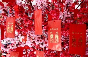 plum-blossoms-for-chinese-new-year-traditional-home-decorations