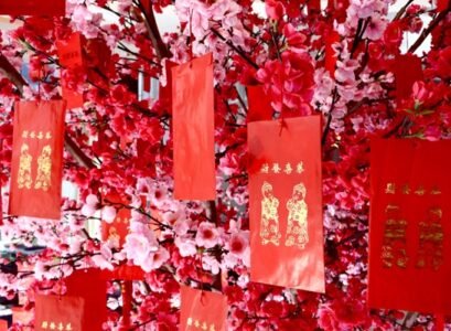 plum-blossoms-for-chinese-new-year-traditional-home-decorations