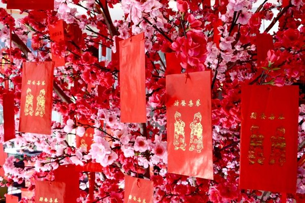 chinese new year traditional home decorations