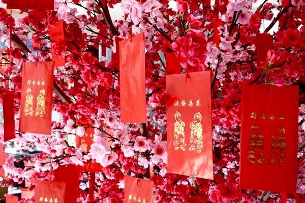 Chinese New Year Decoration - Temu