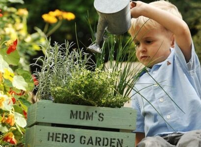 Wooden-planter-watering-herb-garden-balcony-garden-ideas
