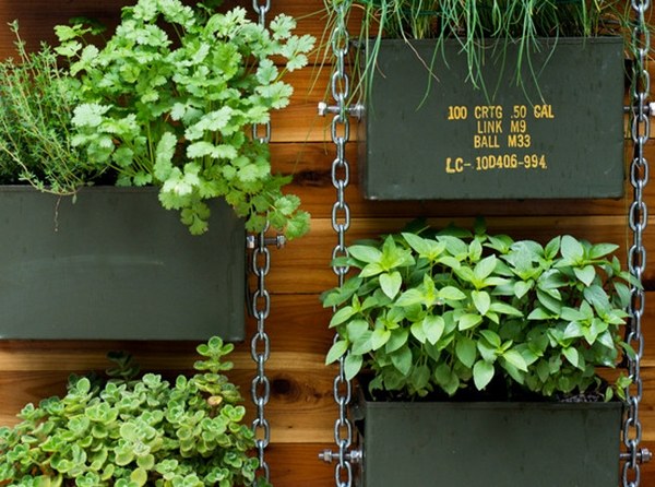 Grow A Herb Garden Design Ideas, Small Patio Herb Gardens