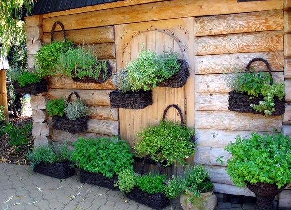 container-herb-garden-wall-garden-ideas-how-to-grow-herbs-spices