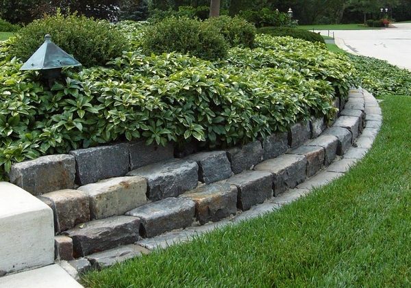 Gorgeous landscape designs and modern garden edging ideas | Deavita