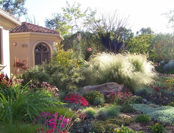 drought-tolerant-landscaping-design-garden-decoration 
