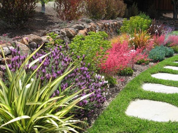 drought-tolerant-landscaping-ideas-draught-tolerant-plants-garden-design