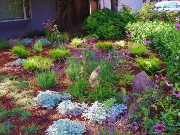 drought-tolerant-landscaping-ideas-drought-tolerant-plants-house-exterior 