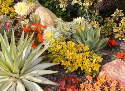 drought-tolerant-landscaping-ideas-garden-decoration-garden-design-ideas