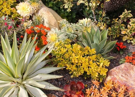 drought-tolerant-landscaping-ideas-garden-decoration-garden-design-ideas