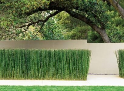 garden-decorating-ideas-horsetail-reed-lawn-privacy-fence