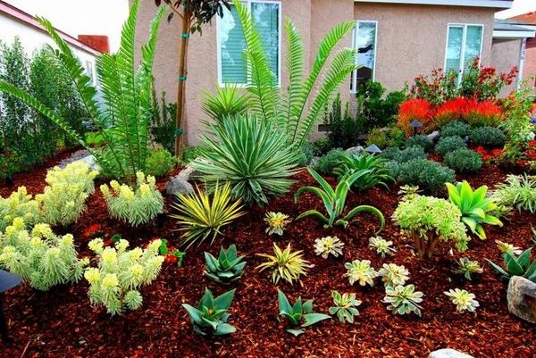 garden-design-drought-tolerant-landscaping-ideas-plants-choice