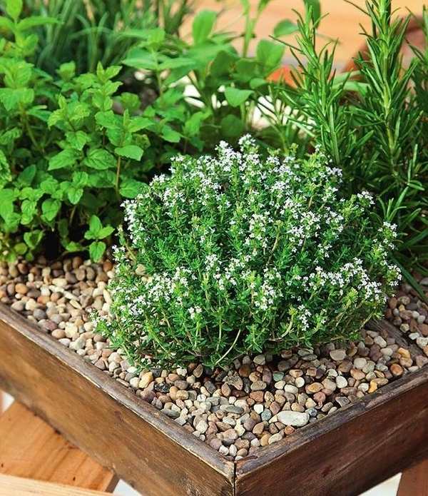 how-to-grow-herb-garden-in-containers-balcony-herb-garden-ideas-small-patio