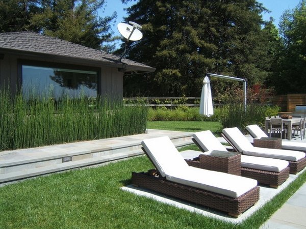 patio design pool deck horsetail reed sun loungers