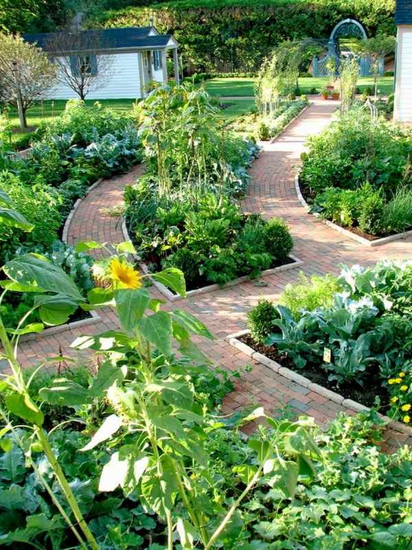 potager garden beds layout vegetable garden ideas patio landscape