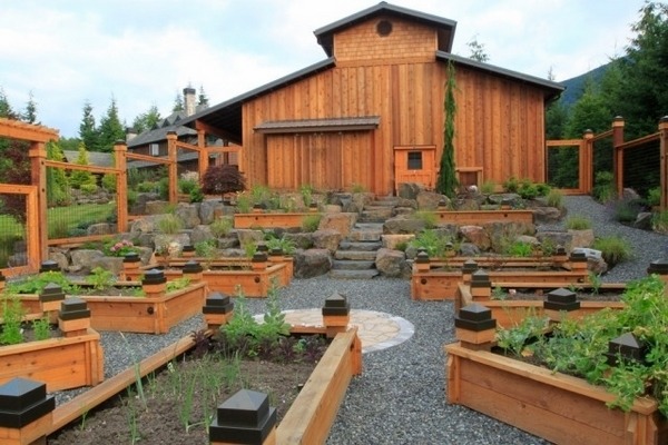  raised beds potager layout 