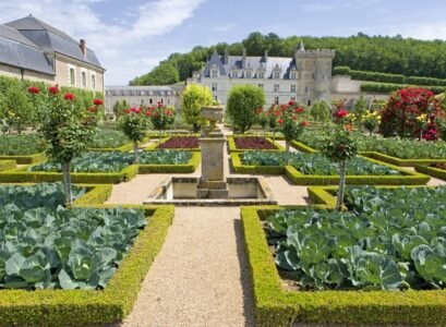 potager-garden-layout-vegetable-garden-design-ideas-traditional-kitchen-garden