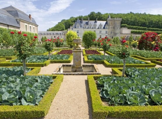 potager-garden-layout-vegetable-garden-design-ideas-traditional-kitchen-garden