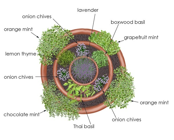spiral-herb-garden-design-ideas-small-herb-garden-patio-landscape 