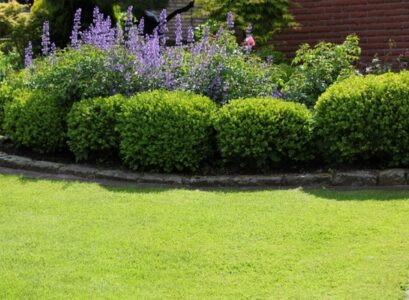 stone-edging-ideas-front-yard-design-curb-appeal-ideas-shrubs-purple-flowers