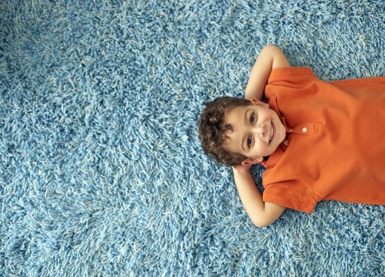 top-10-carpet-stains-carpet-cleaning-tips-how-to-clean-carpet-stains-homemade-solutions