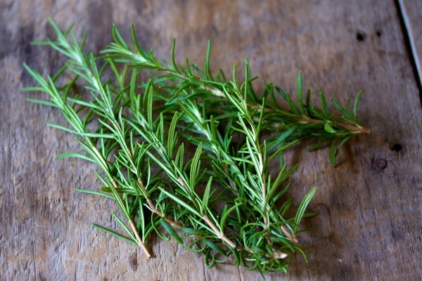 top-herbs-to-grow-at-home- rosemary-herb-garden