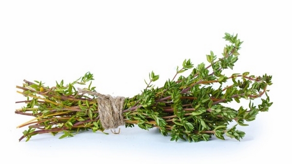 top-herbs-to-grow-at-home-thyme-herb-garden-design-ideas 