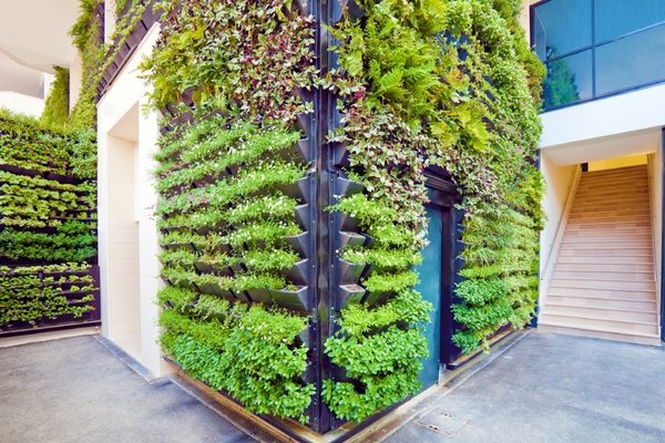 vertical-herb-garden-ideas-rooftop-balcony-decorating-ideas