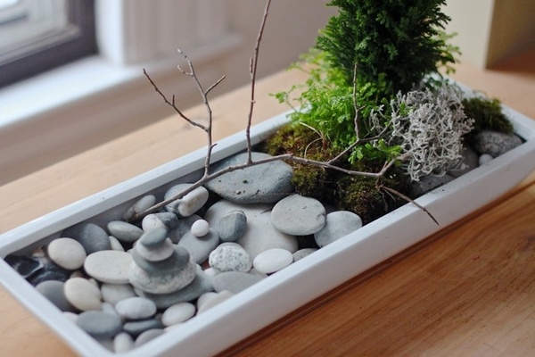 Diy Tabletop Zen Garden Ideas How To, Mini Tabletop Garden Ideas