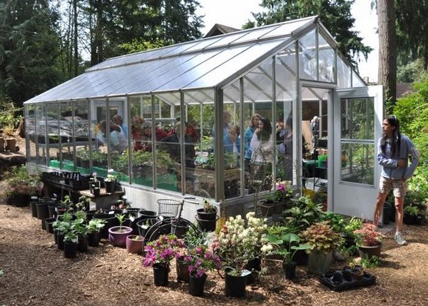 backyard greenhouse