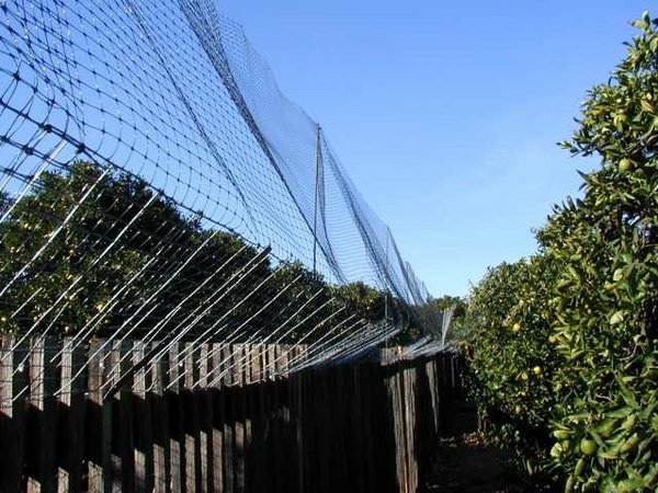 cat-proof-garden-ideas-fence-ideas-protective-fence