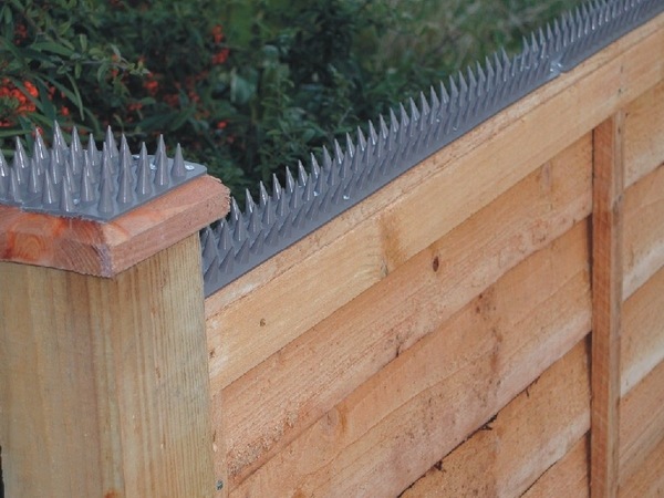 cat-proof-garden-ideas-fence plastic spikes