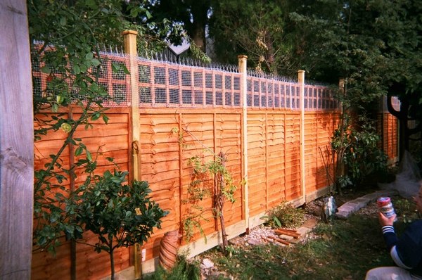 cat-proof-garden-ideas-fence with spikes wooden fence