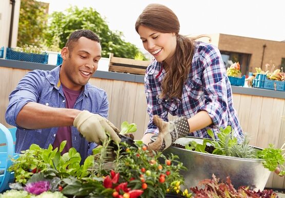 garden-nursery-ideas-plant-nursery-backyard-design-ideas