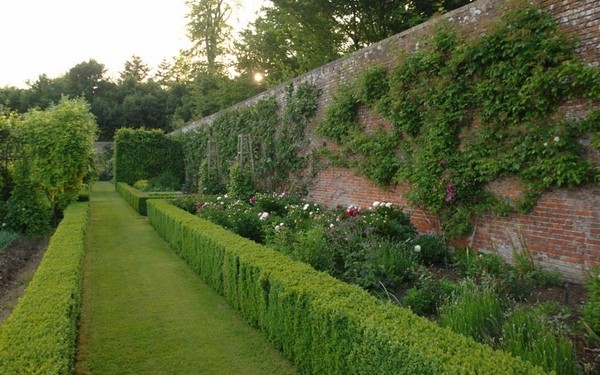 traditional walled garden design hedge plants climbing plants