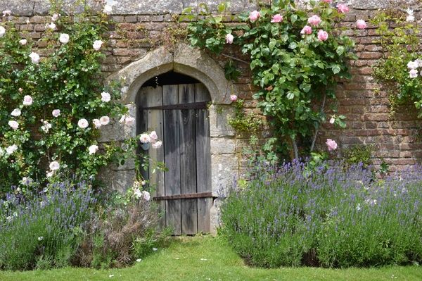 walled ideas gate climbing roses