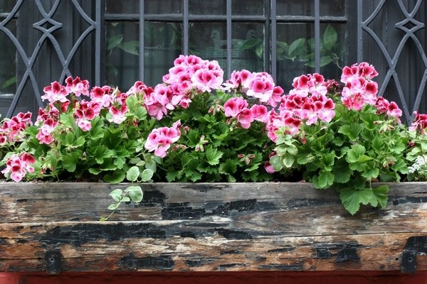 DIY wooden flower box balcony garden ideas 
